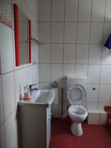 Hostal Pensiunea Lacul Albesti