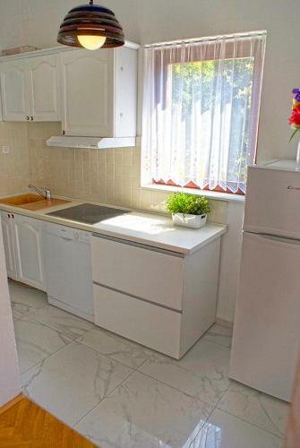 Hostal Apartmani Ribarica****