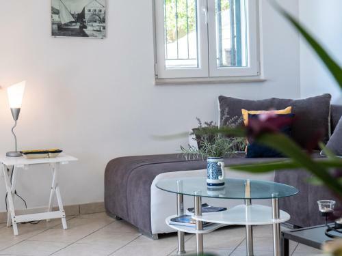 Apartment Branka