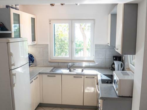 Apartment Branka