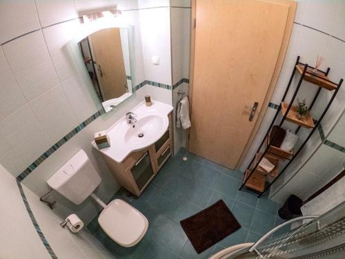 Apartment Branka