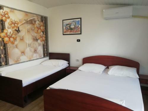 Hostal Pensiunea Mario