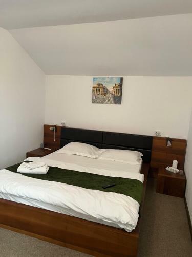 Hostal Pensiunea Domeniul Regal
