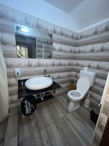 Hostal Pensiunea Domeniul Regal