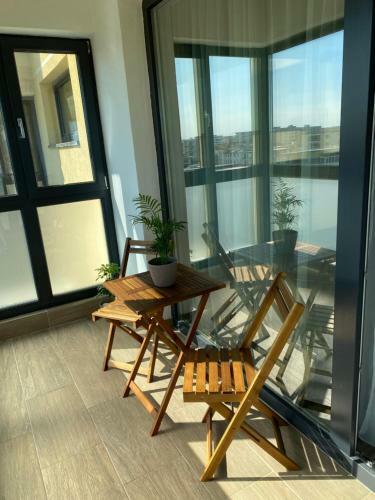 Gray Tomis Apartament