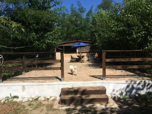 Camping In Clisura Dunarii