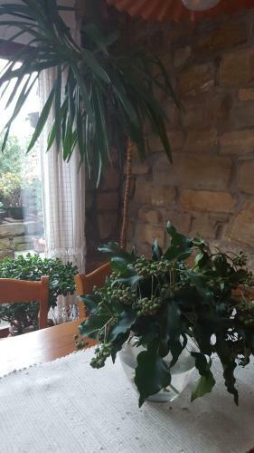 Istrian Stone House