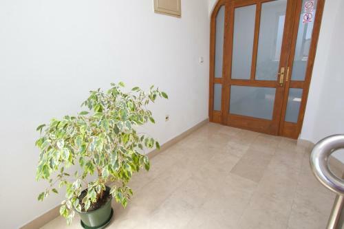 Apartamento Argus3a