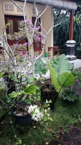 Apartamento Hause Market