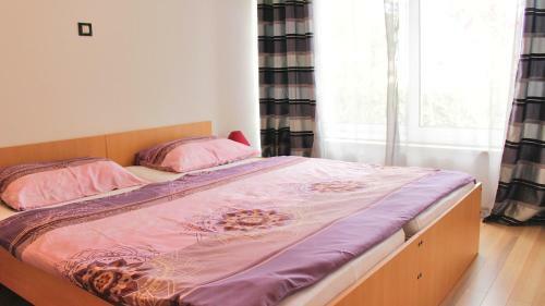 Apartment Vidak