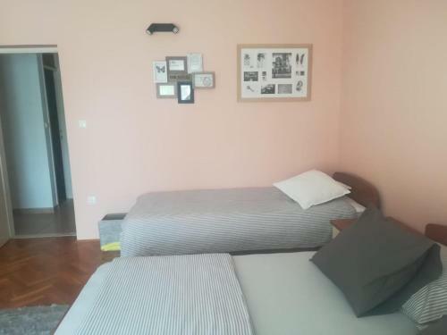 Hostal Vila Snje?ana Tu?epi