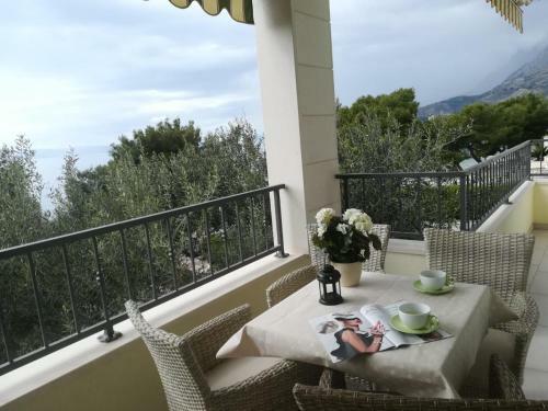 Hostal Vila Snje?ana Tu?epi