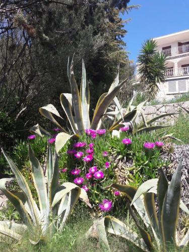 Villa Aquamare****