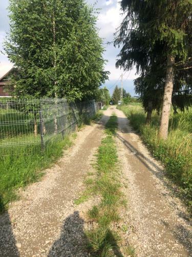 Cabana Cu Mesteceni Varatec