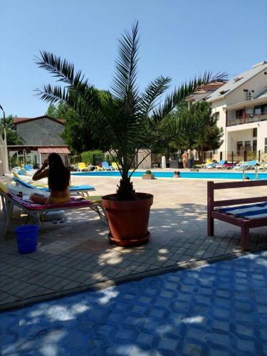 Hostal Relax Spa Costinesti - D'amy