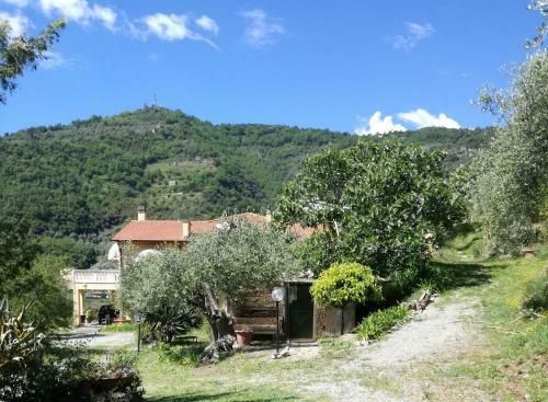 Bed & Breakfast Il Giardino Degli Ulivi