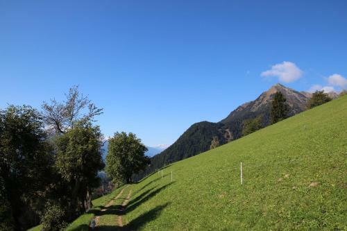 Hotel Gasthof Walde