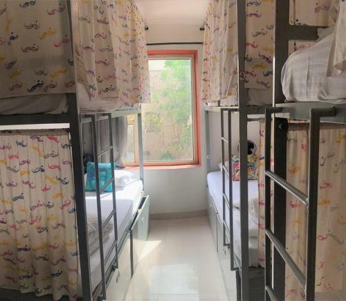 Albergue Udit Place