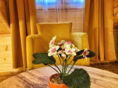 Hotel Porto Tara
