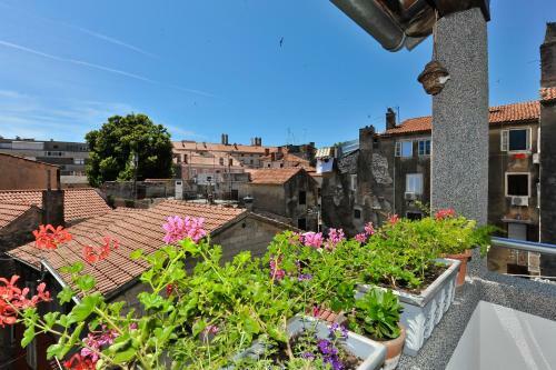 Apartment Borgo