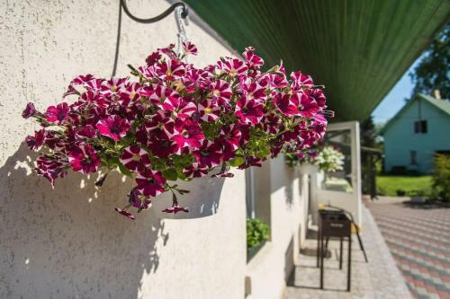 Hostal Searooms Ragaciems