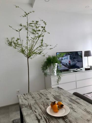 Apartamento �gray�