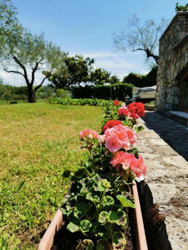 Apartamento Monpaderno