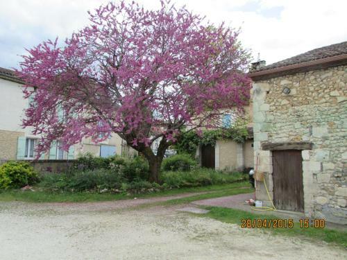 Hotel Le Relais Du Chateau
