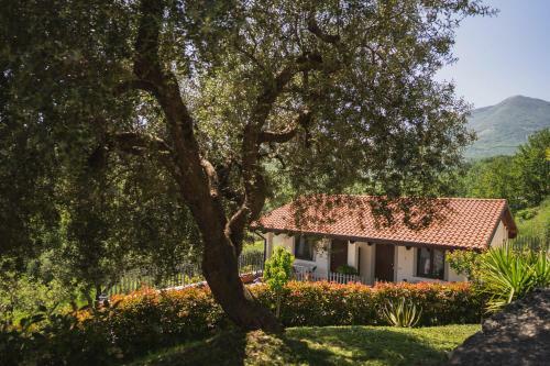 Apartamento Agriturismo La Valle Degli Ulivi