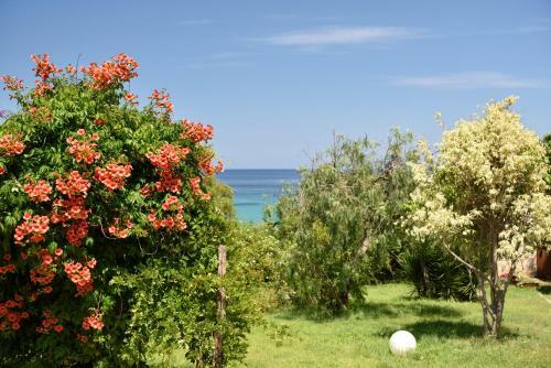 Villa Orr�