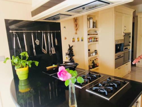 Villa Cap Holidays