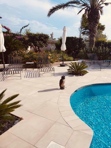 Villa Cap Holidays