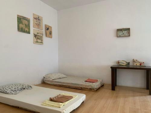 Shkolla Hostel & Camping