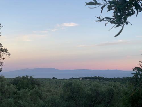 Shkolla Hostel & Camping