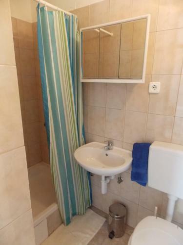 Apartment Ivana