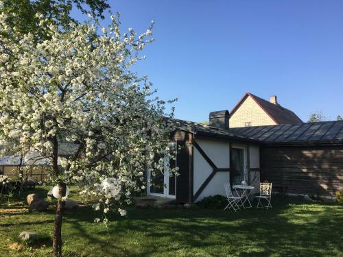 Apartamento Po Klevu