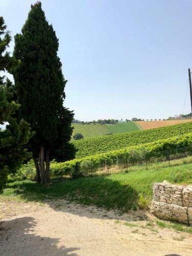 B&B Santa Caterina