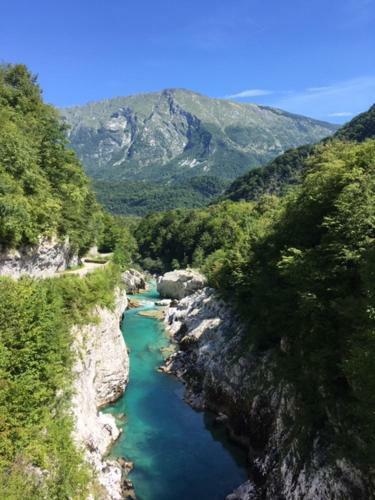 Apartma Panorama
