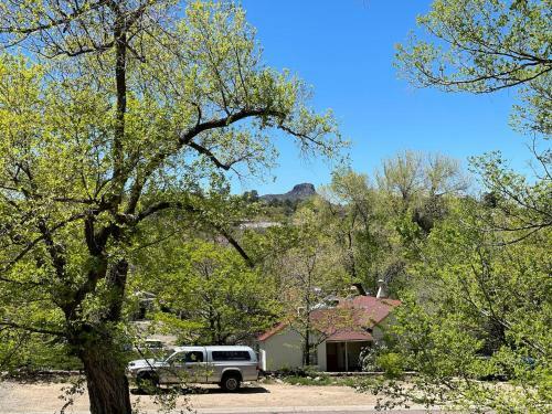 7min Walk To Courthouse Plaza! Historic Cottage