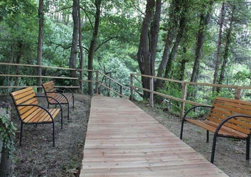 Apartamento Tatiana Pines