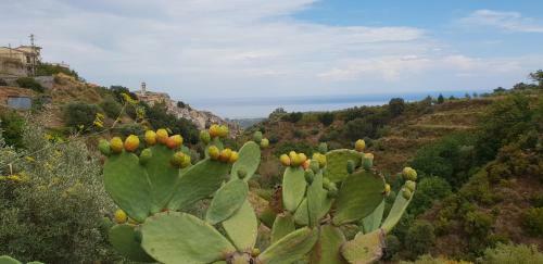 Casa Vacanze Fontanelle