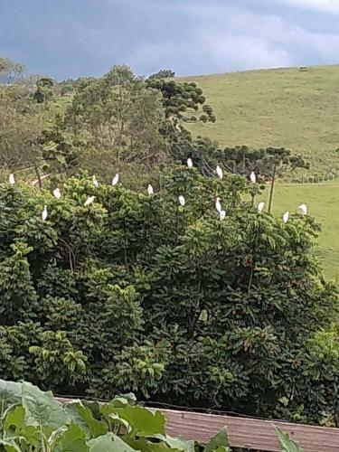Pousada E Camping P� Na Trilha