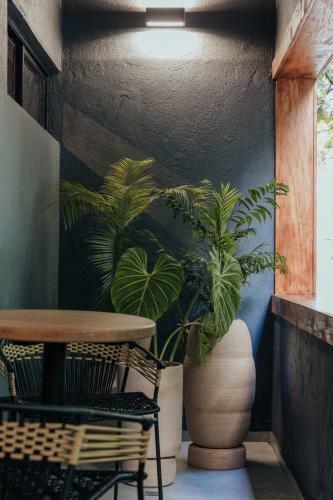 Hotel Sui Posada Boutique