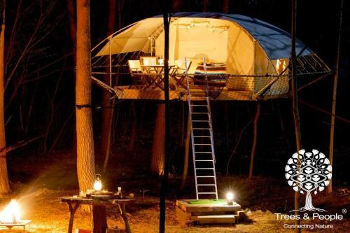 Camping Alaska