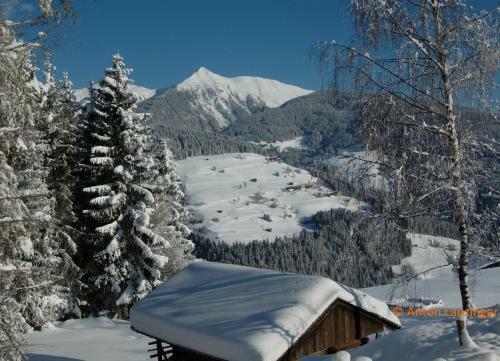 Hostal G�stehaus Lanzinger