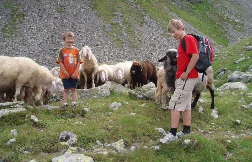 Hostal G�stehaus Lanzinger