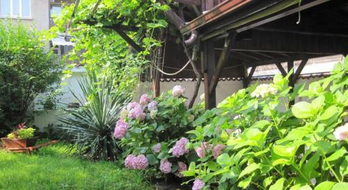 Hostal Guest House La Rose
