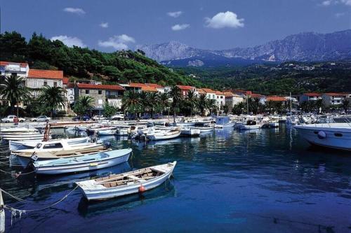 Apartments Villa Vesna Podgora - Cdm05026-cyb