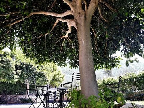 Villa Luxury Country House In Kalamata / Sp