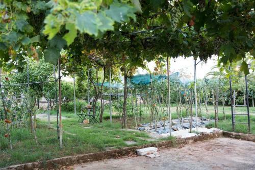 Villa Luxury Country House In Kalamata / Sp